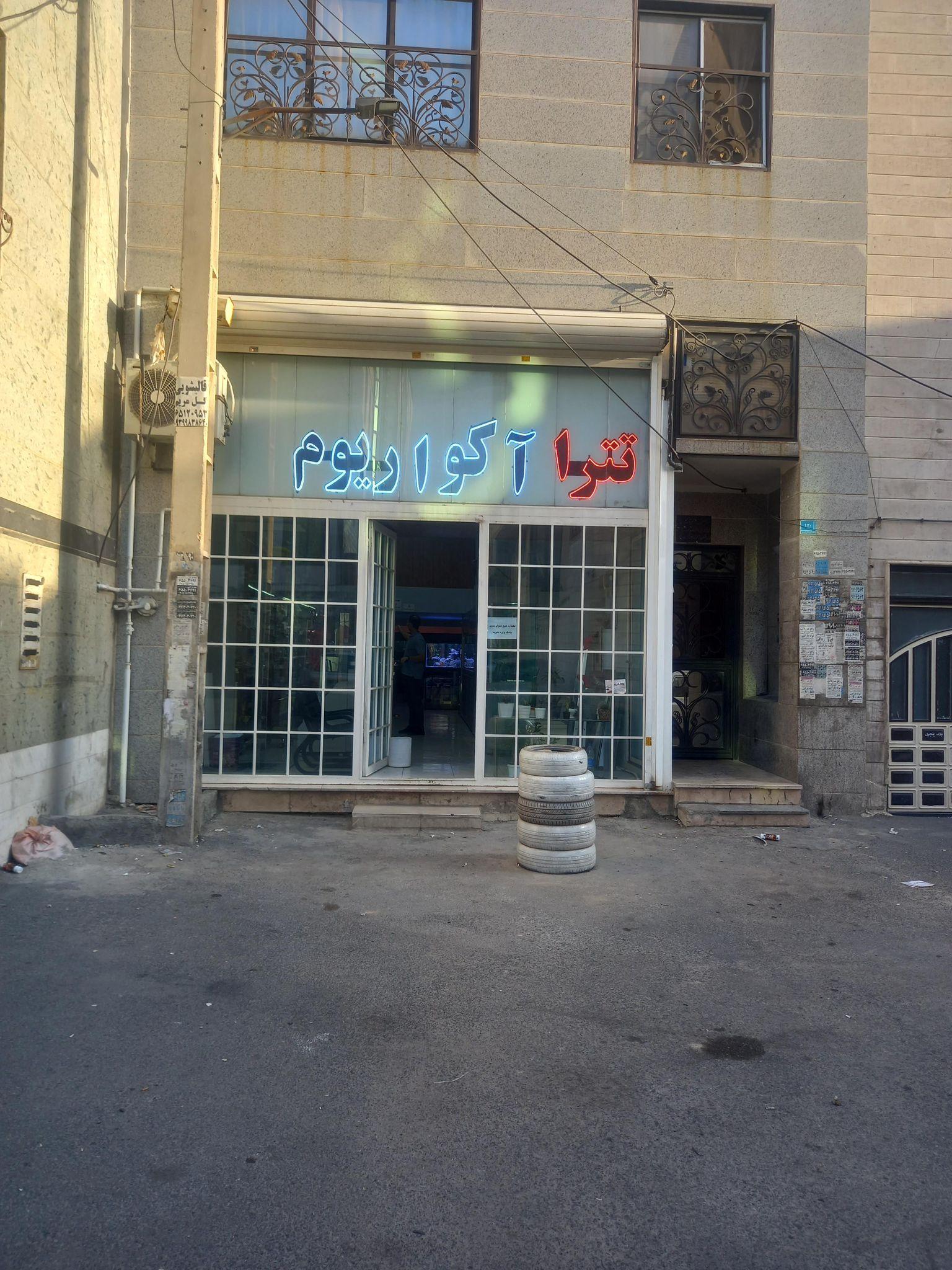 آکواریوم تترا