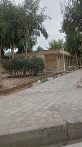 سرویس بهداشتی