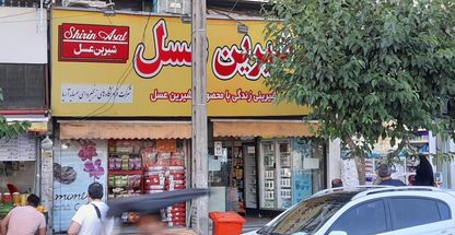 شیرین عسل (گیشا)