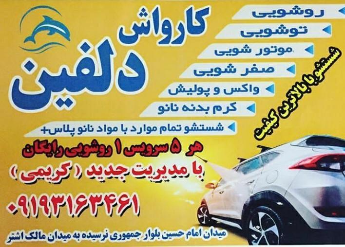 کارواش دلفین