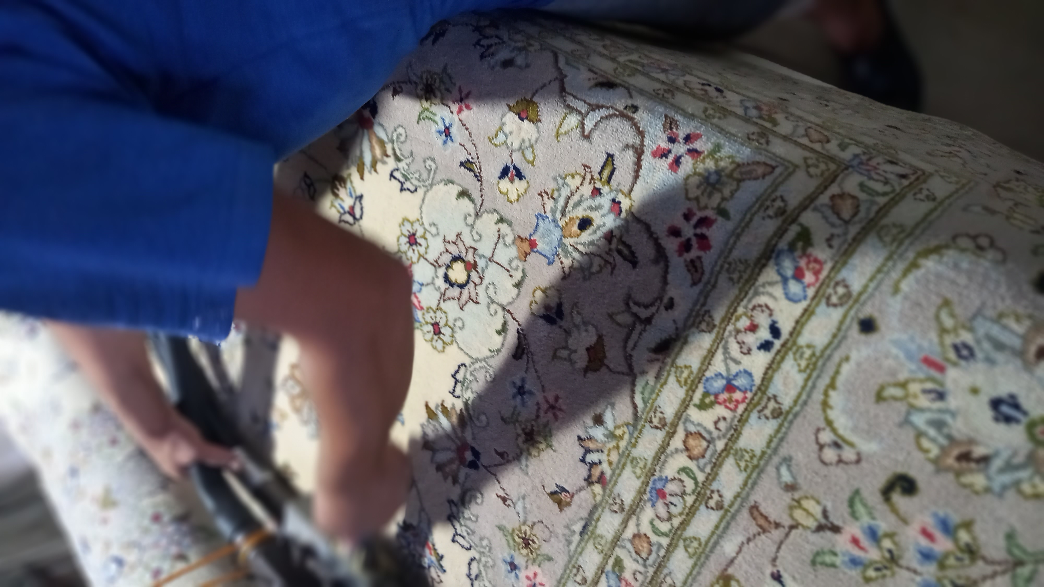 قالیشویی منفرد