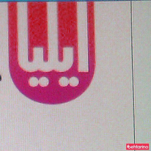 تهیه و توزیع گوشت منجمد ایلیا