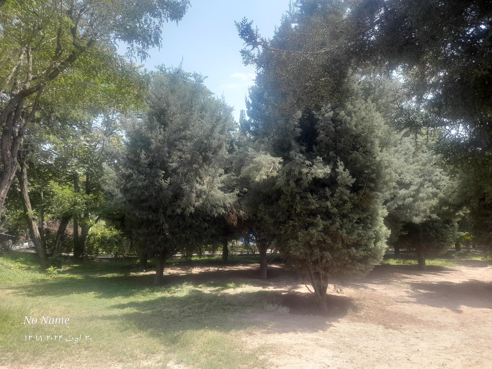بوستان پگاه
