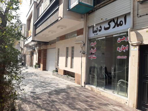 املاک دیبا