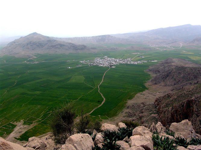 Flat ecotourism residence