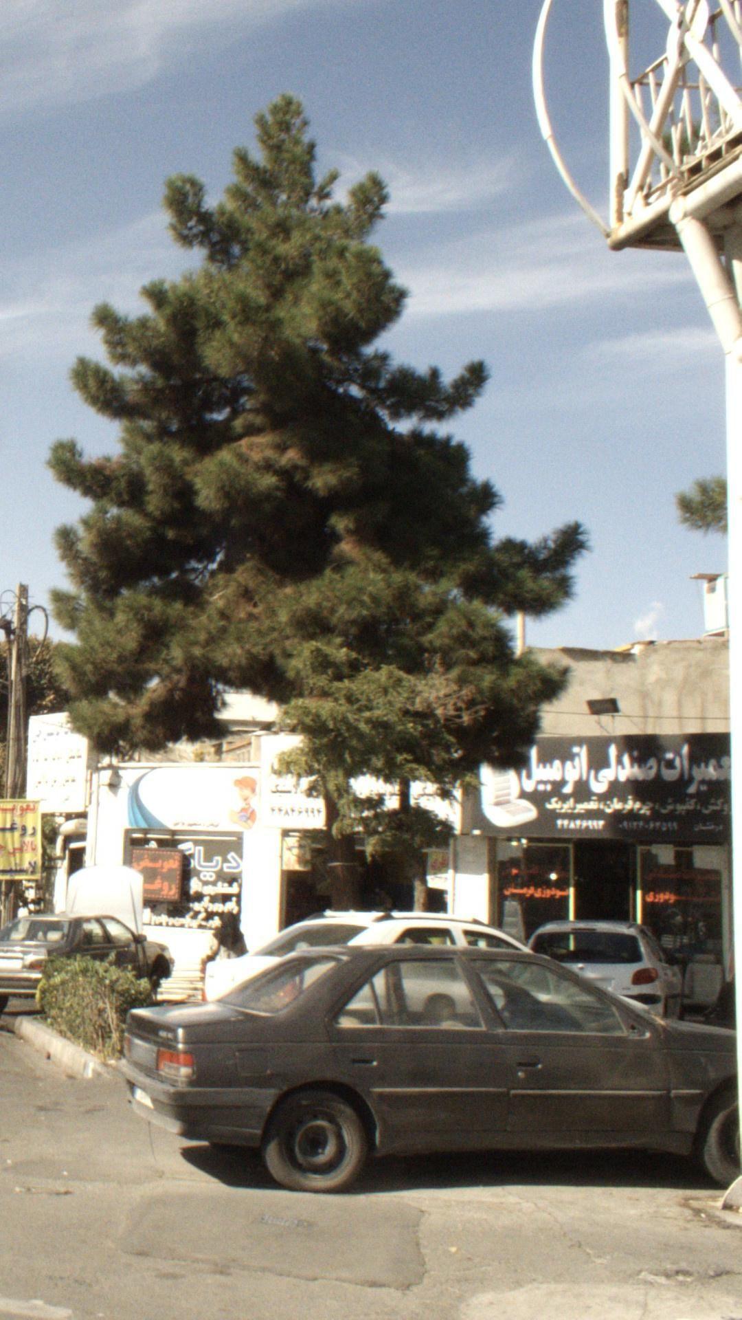 تعمیرات صندلی اتومبیل