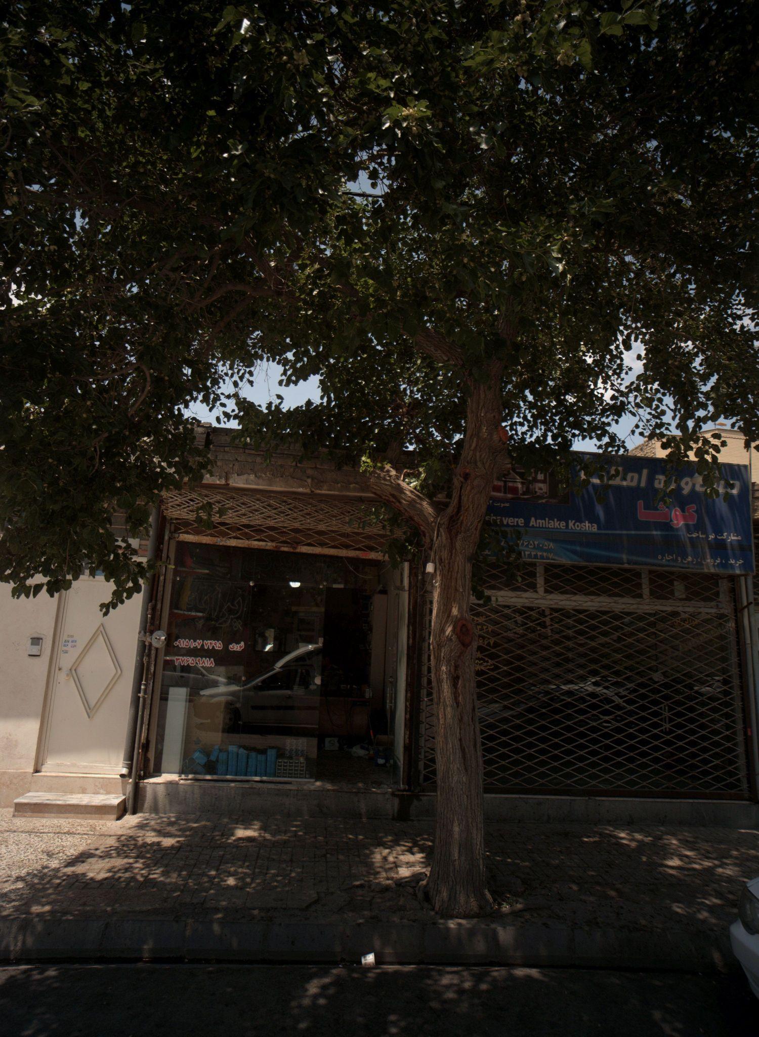 فروشگاه لوازم یدکی خودرو