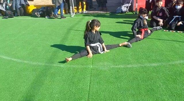 هنرهای رزمی نینجوتسو