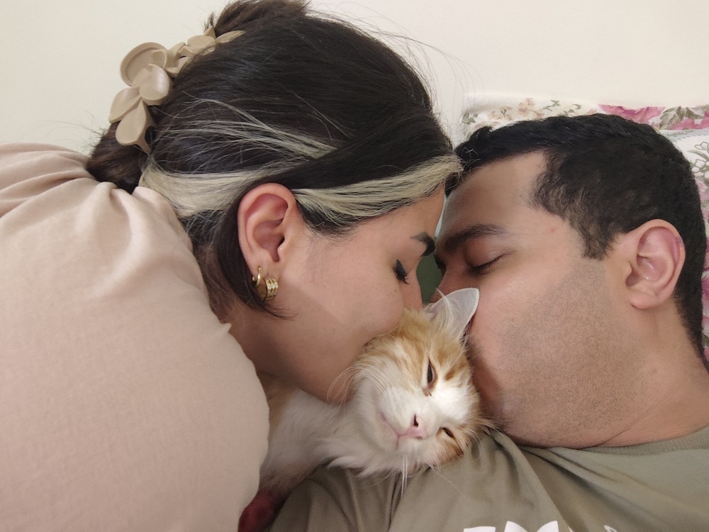 مهسا گل محمدی