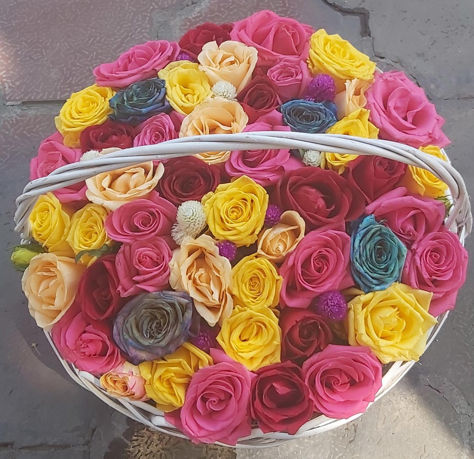 گل طلای سبز