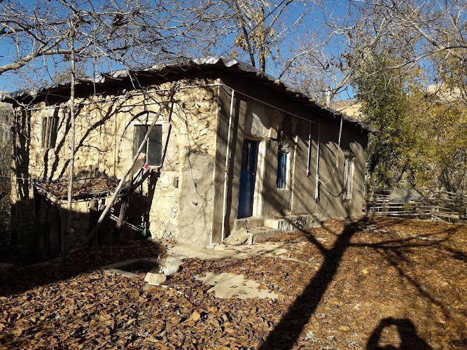 بومگردی وباغ تفریحی تقوی