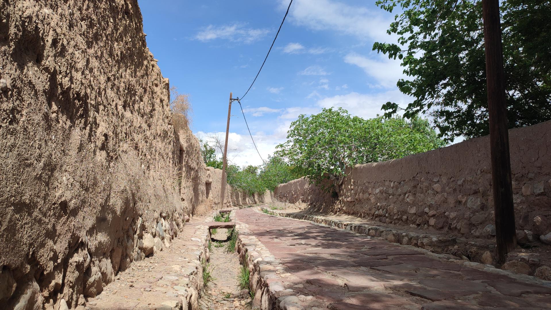 خانه باغ گل نرگس