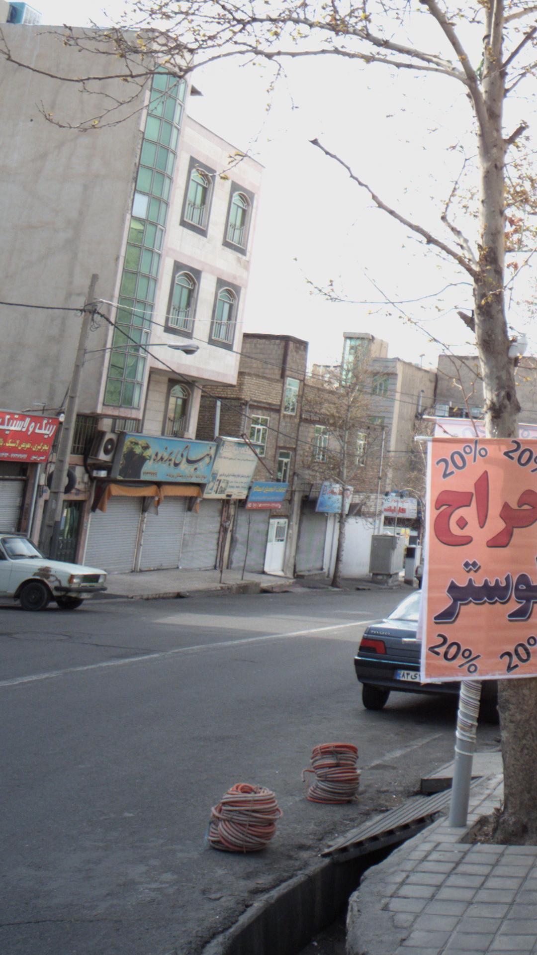 دنیای پرنده