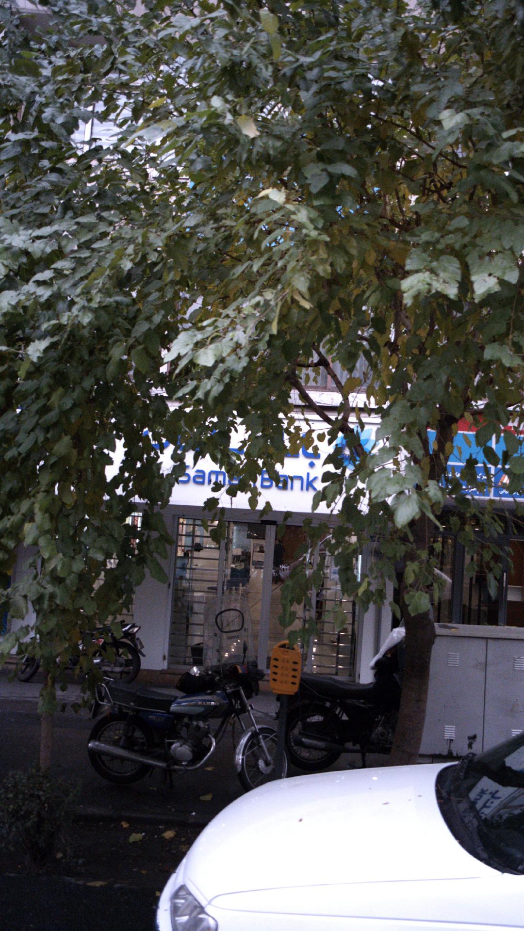 دیجی کالا