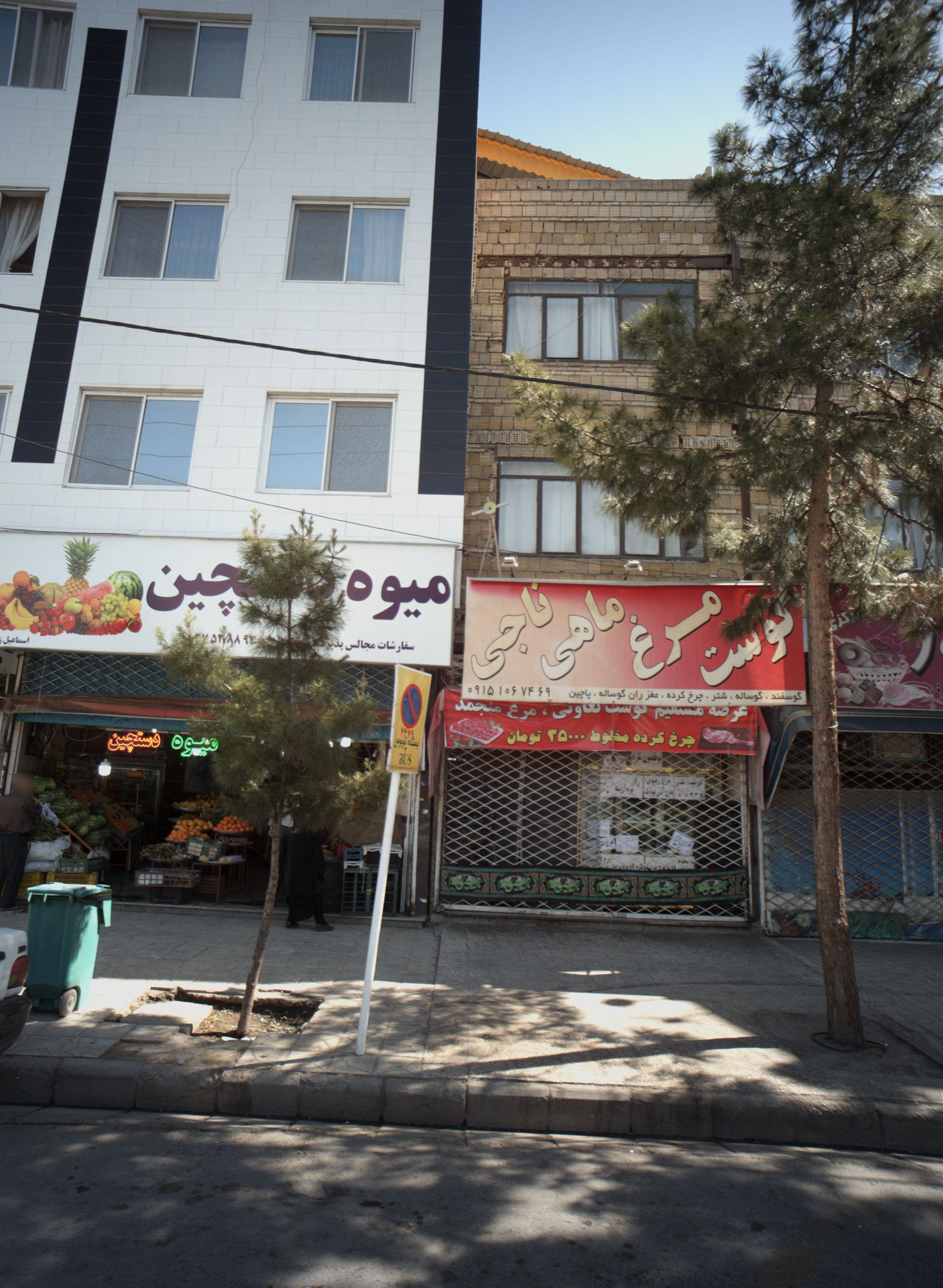 گوشت مرغ ماهی ناجی