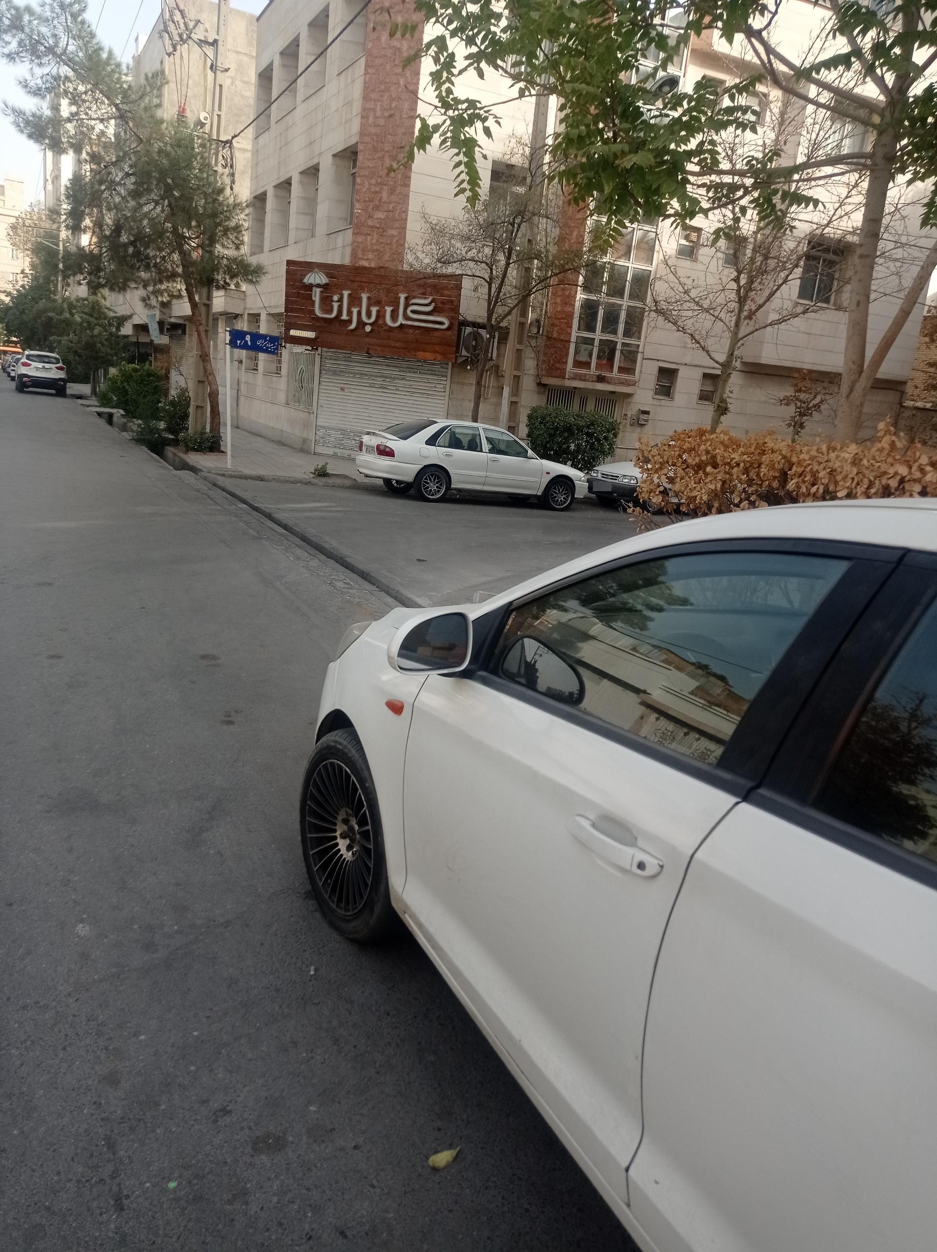 گل جردن
