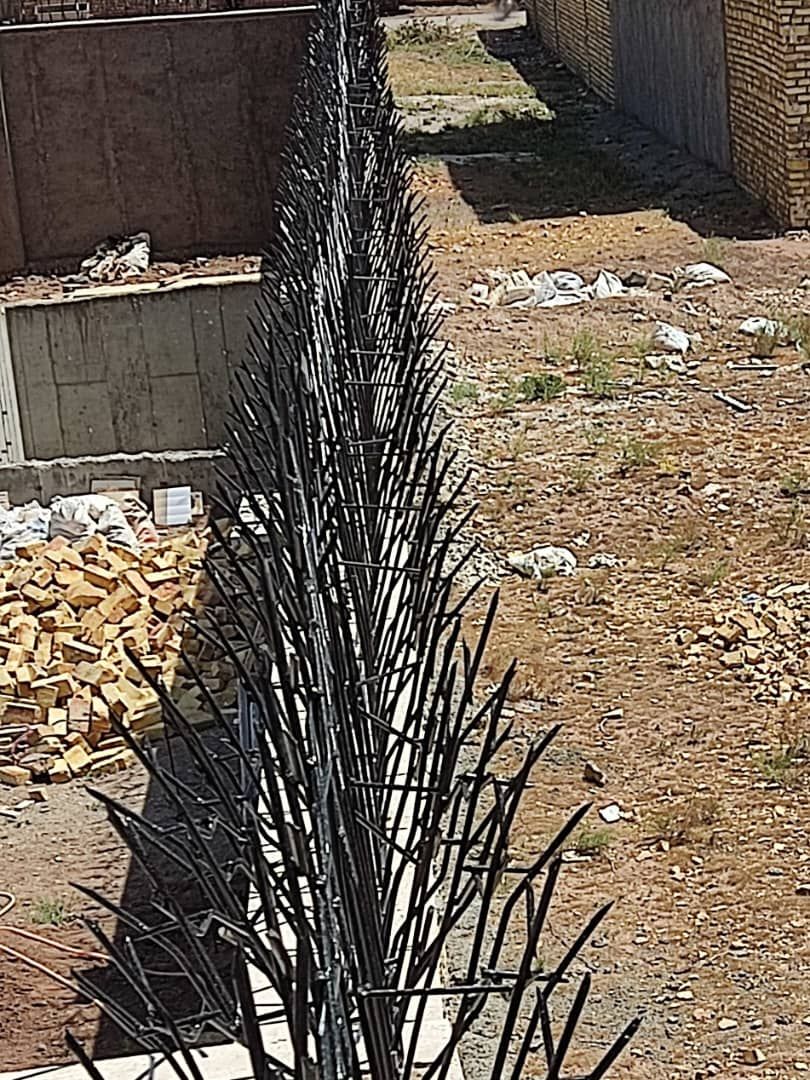 حفاظ شاخ گوزنی