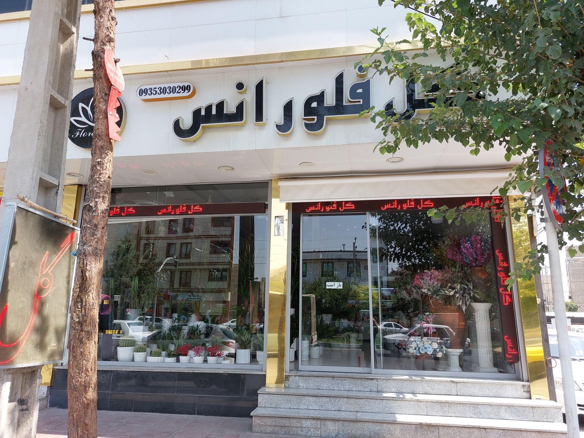 گل فلورانس