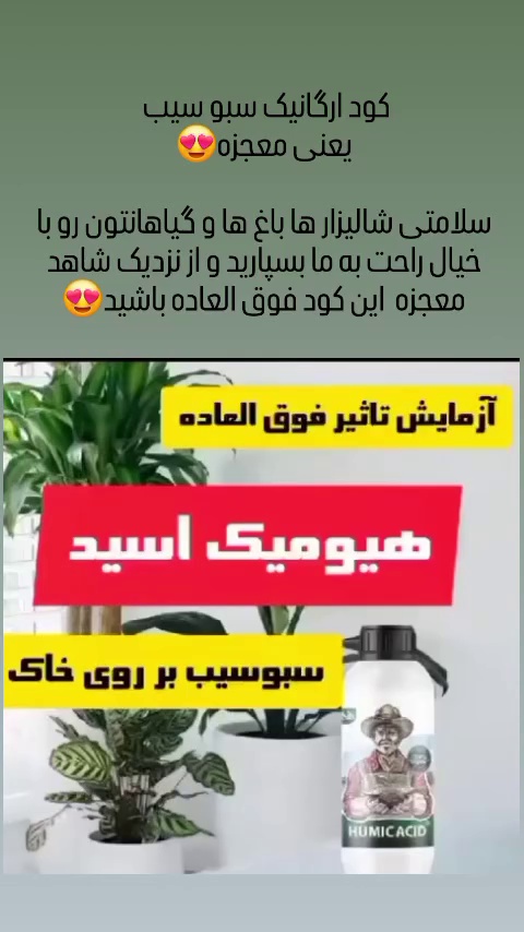 هاکان مارکت