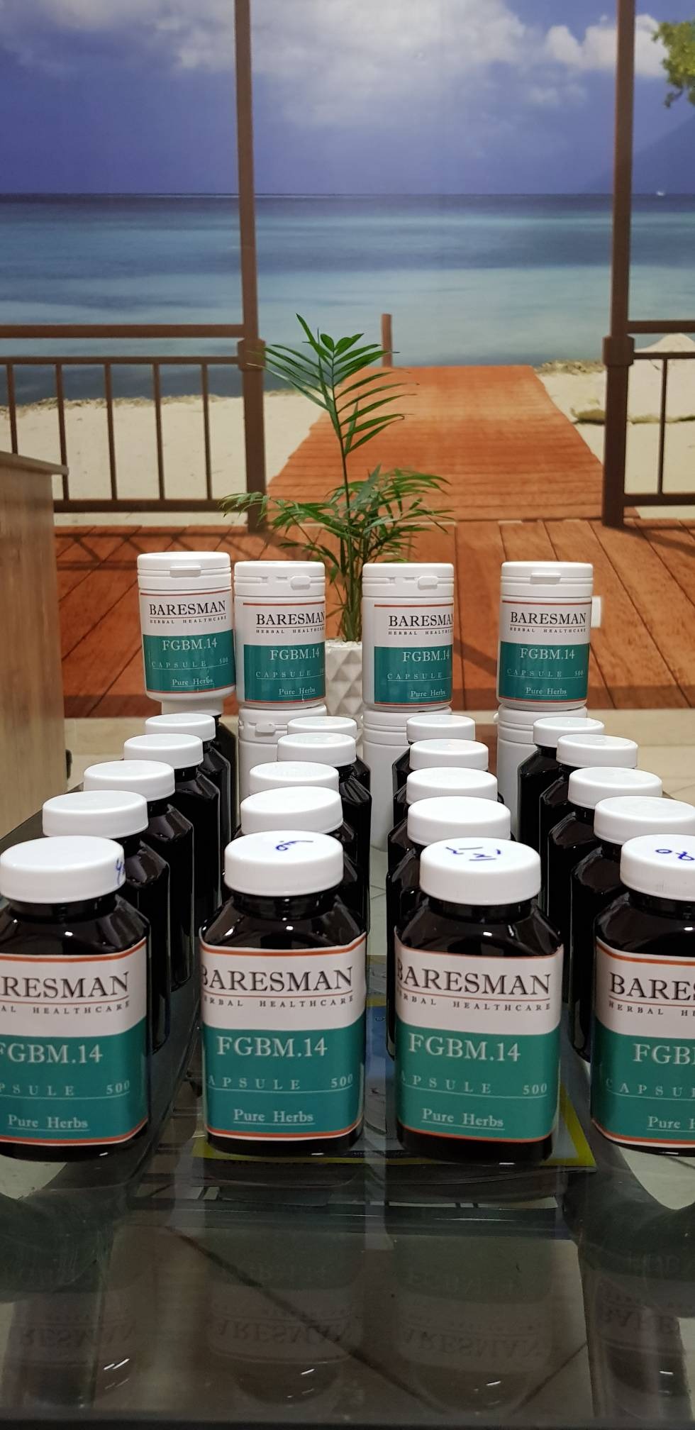 مهر گیاه اکسیر طبیعت برای زندگی سالم