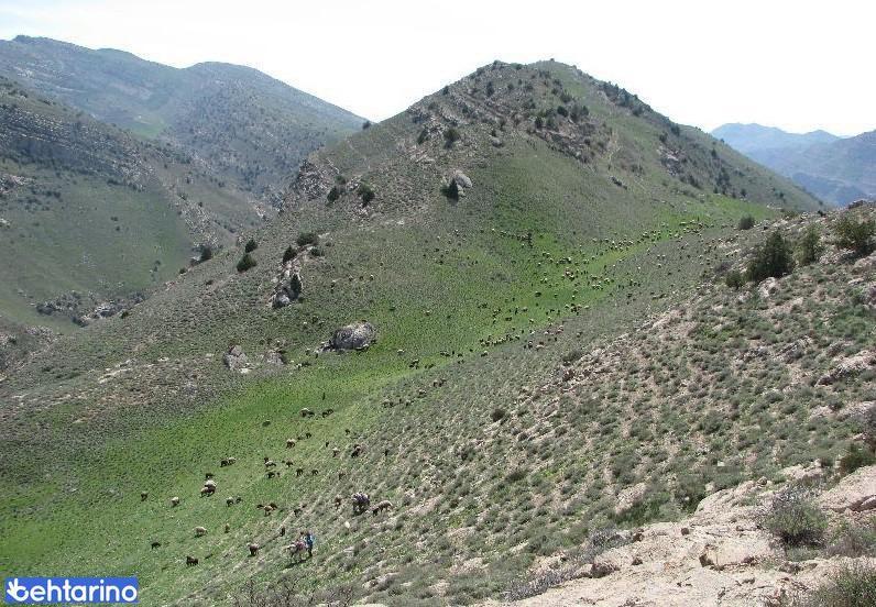 روستای دربادام