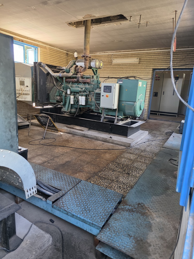 علی زارع نبیلیان