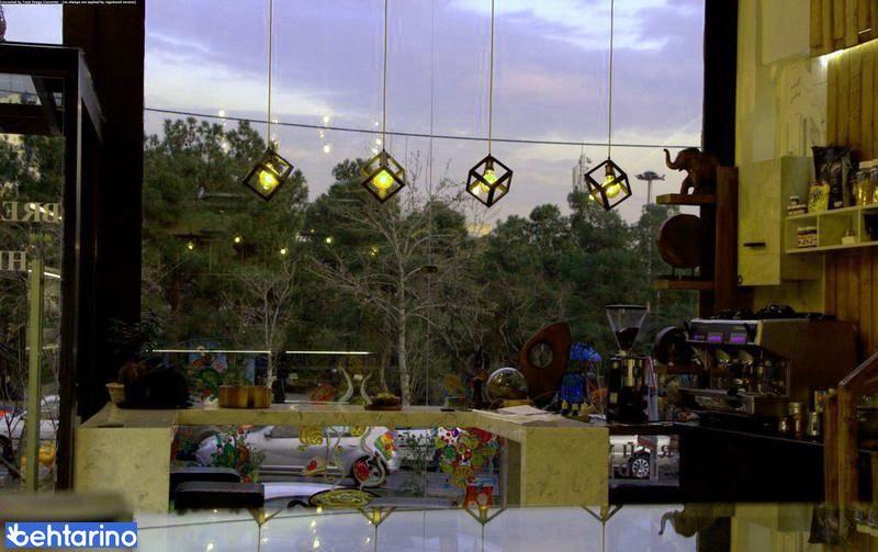 غذای سالم و گاهی فرشا 