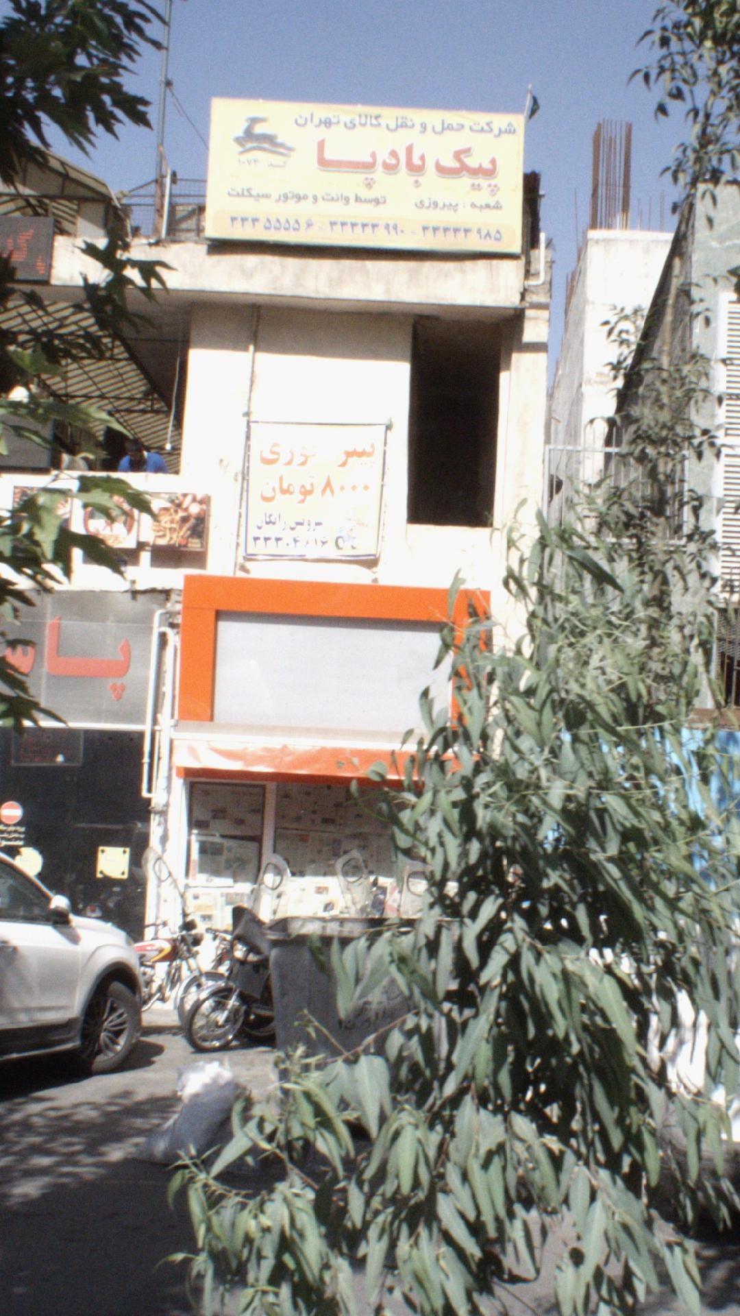 پیک بادپا