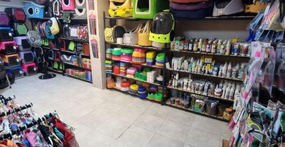 پت شاپ و پرنده سرای طرقه