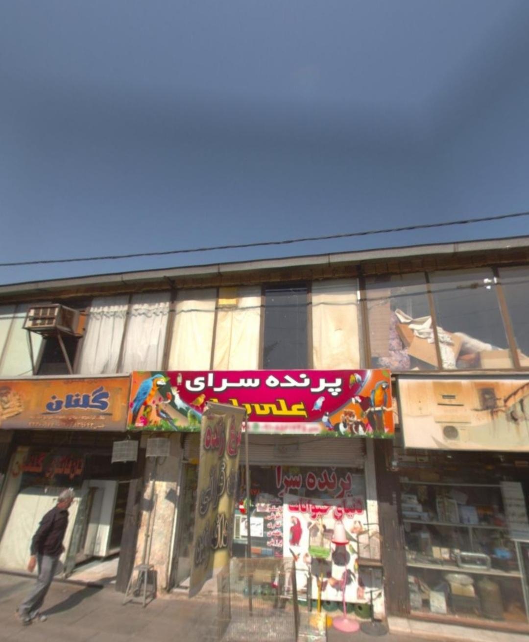 پرنده فروشی شیری