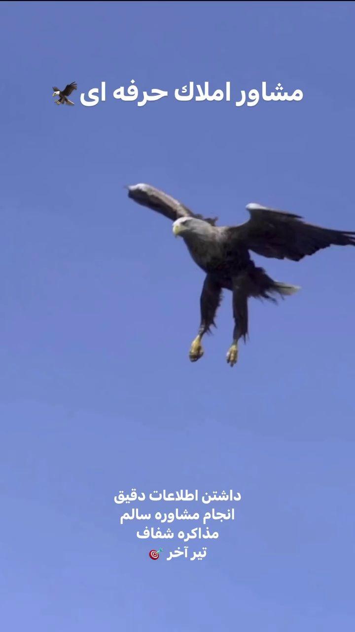 کارگزاری املاک حضرتی