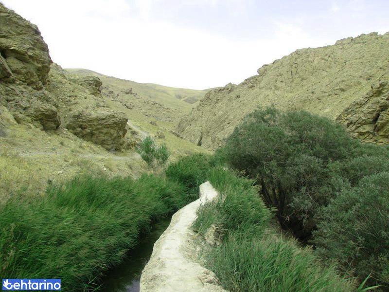 منطقه شکار ممنوع ناو