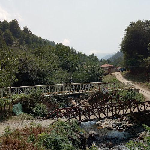 Fusheh Forest Cottage