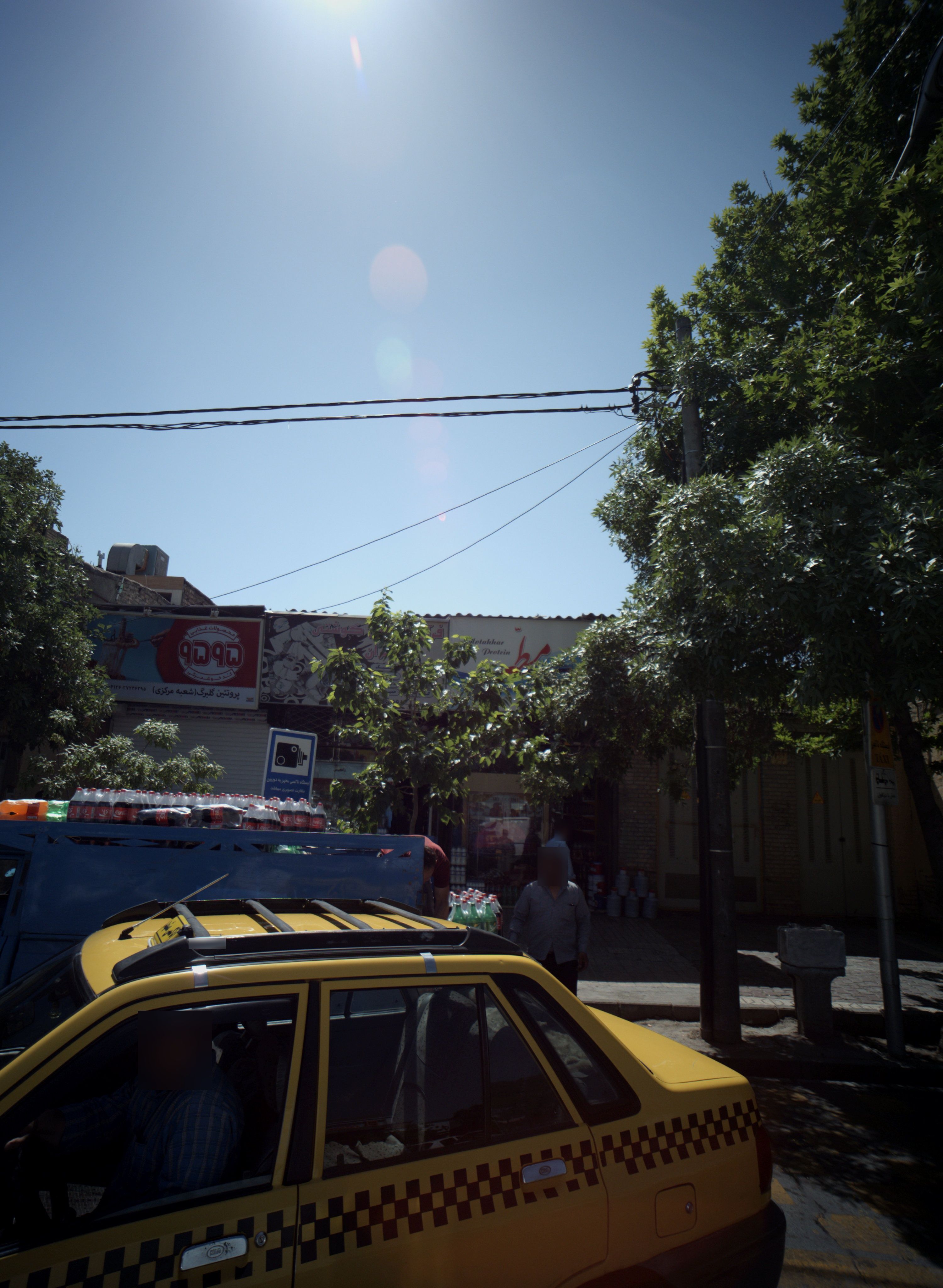 پروتئین گلبرگ