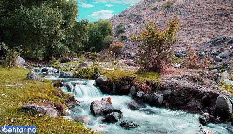 روستای اردها