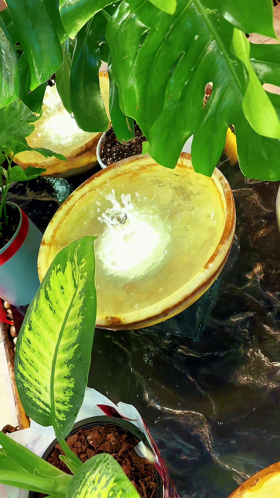 کافه و رستوران اورامان