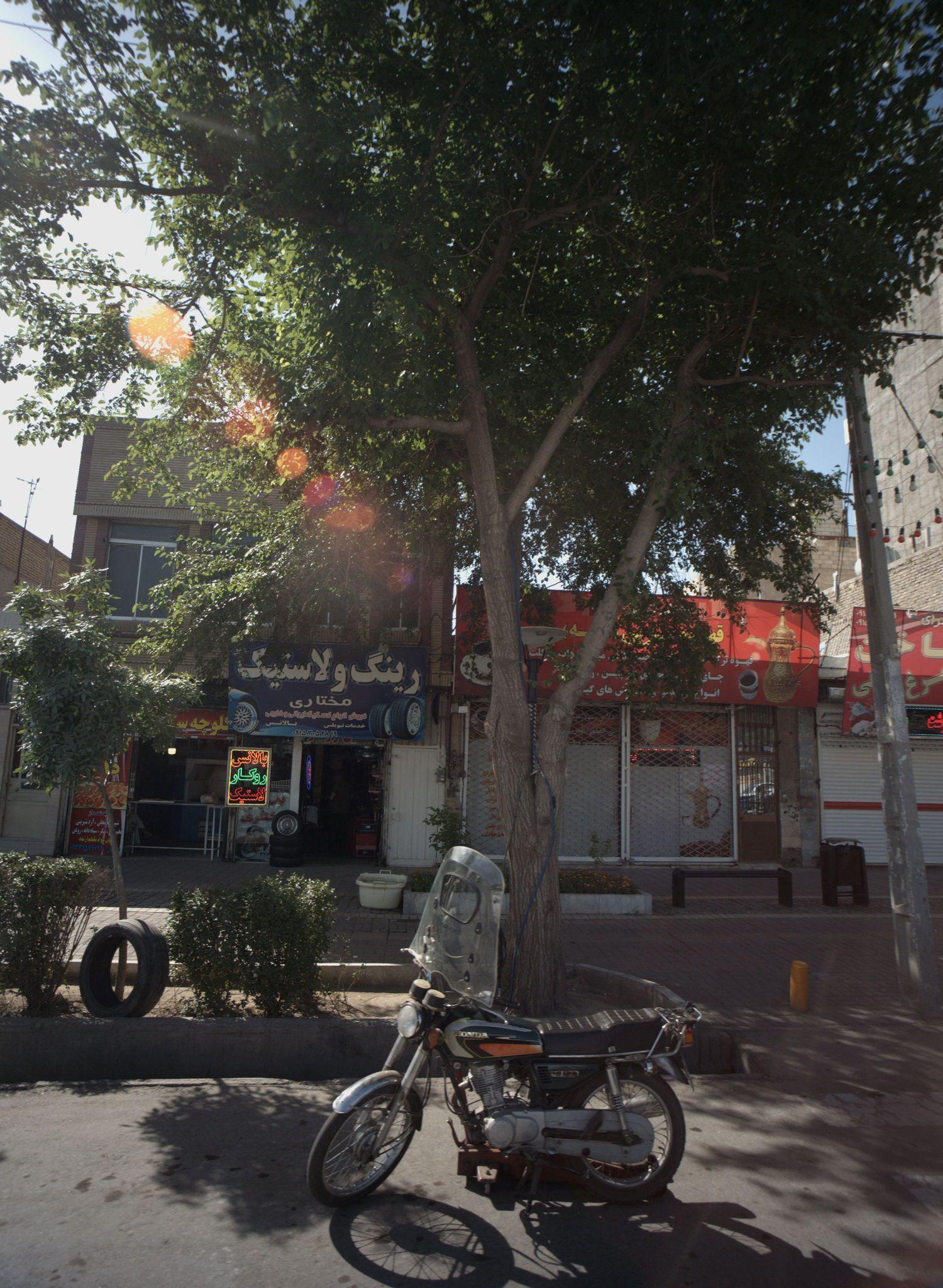 رینگ و لاستیک مختاری