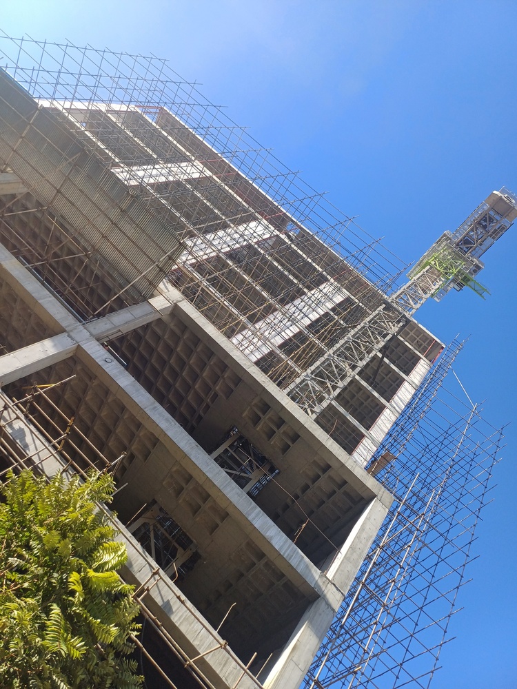 مرتضی مکاری