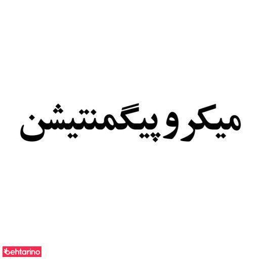 میکروپیگمنتیشن پریسا