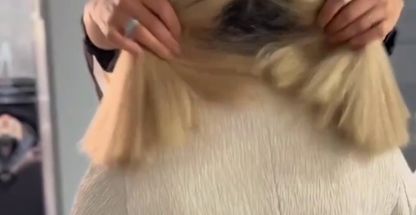 مجموعه آموزشگاه آرایشگری نیکان