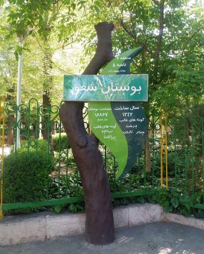 سرویس بهداشتی بوستان شفق