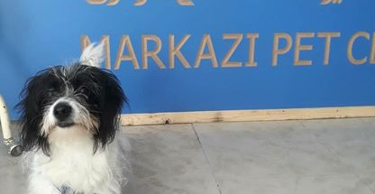 کلینیک دامپزشکی و پت شاپ مرکزی