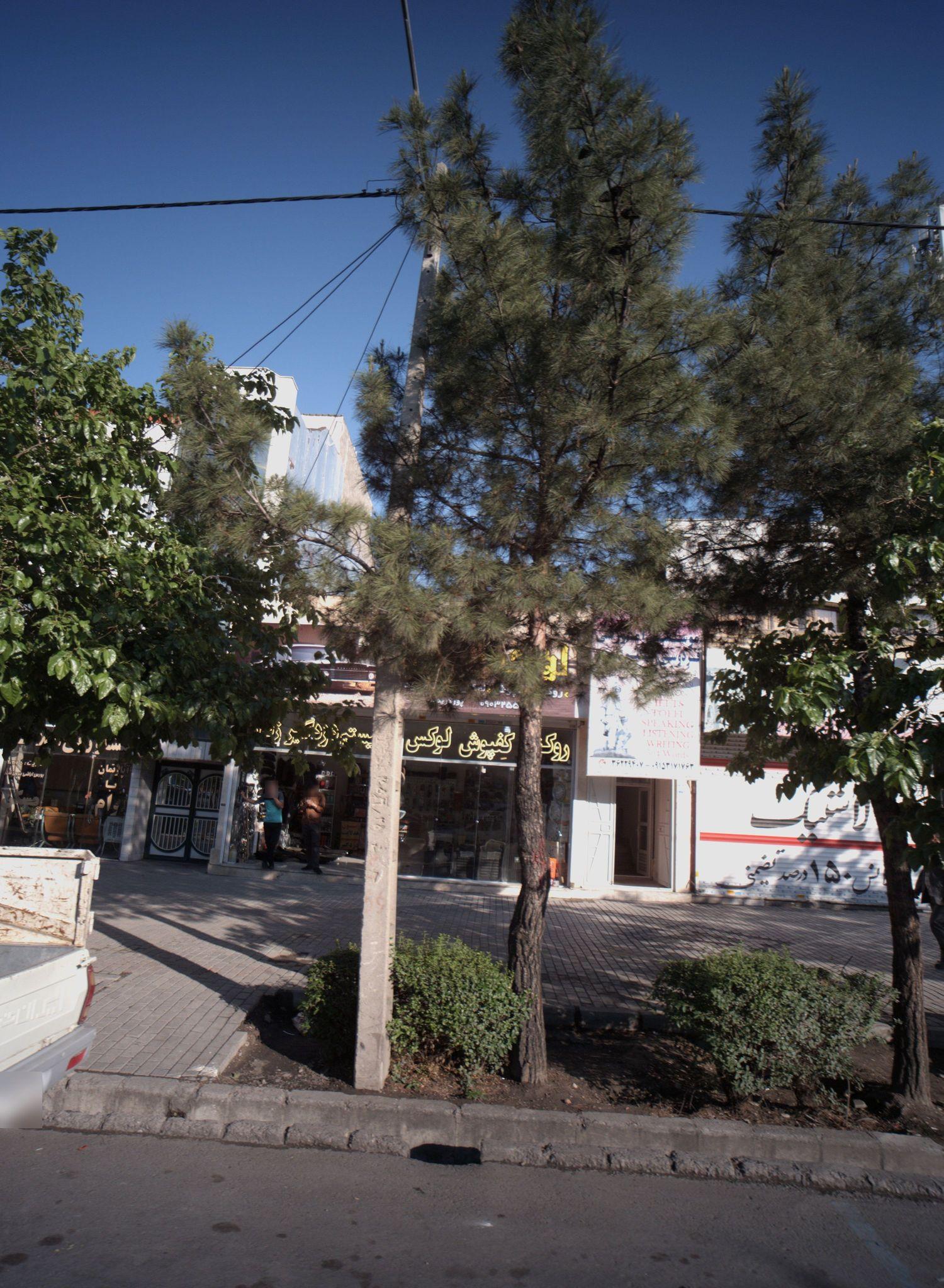 لوازم یدکی خودرو لوکس رضا