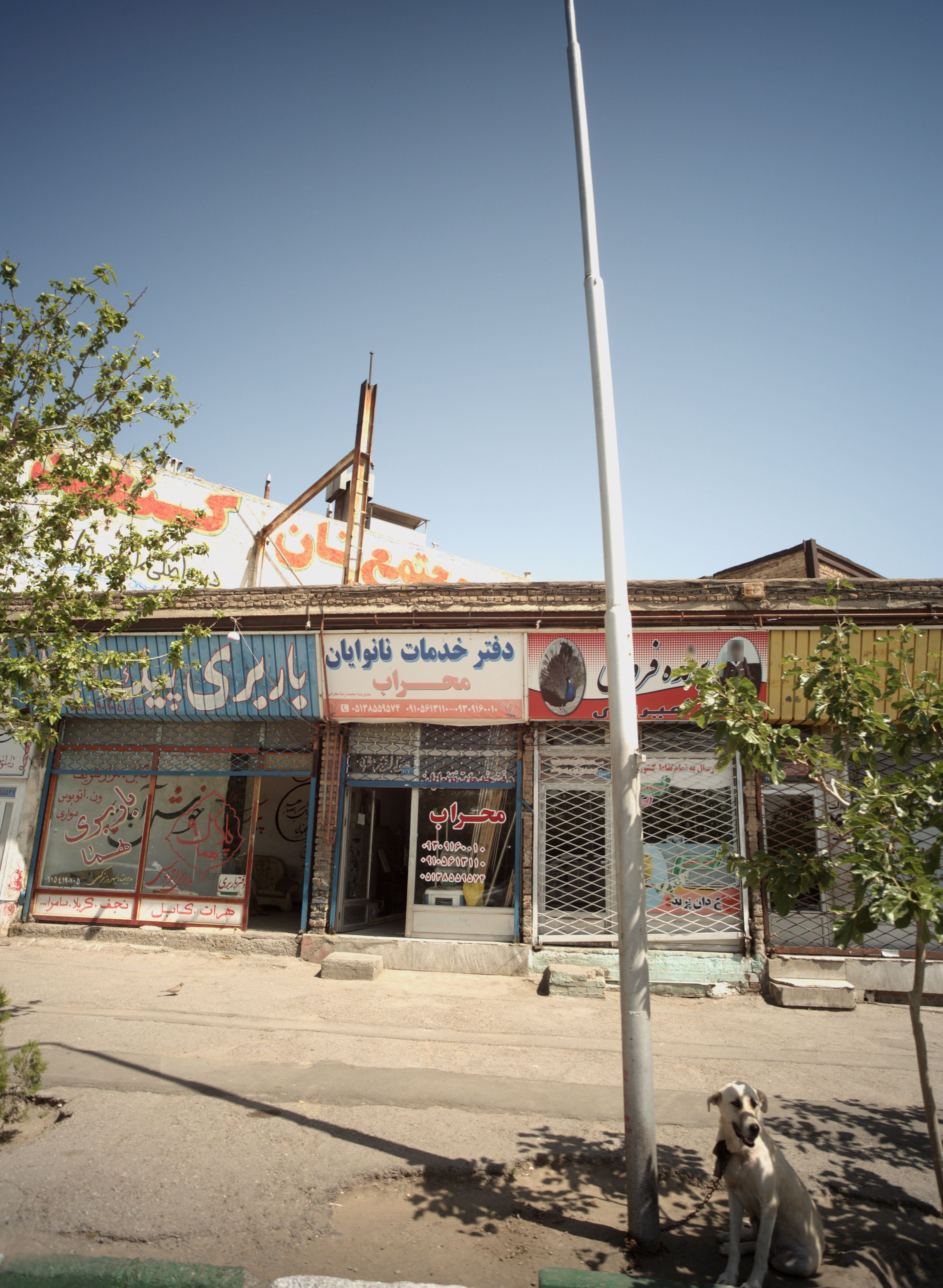 باربری پیک هما