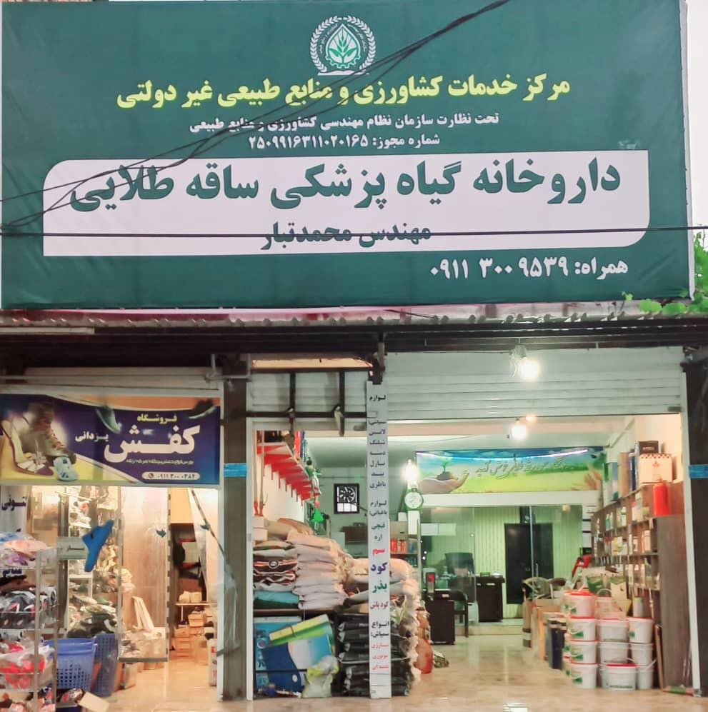 شالیکوبی محسن عباسی