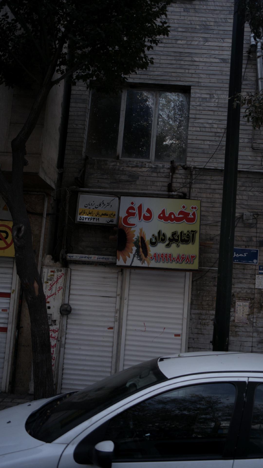 دکتر مژگان یزدیان