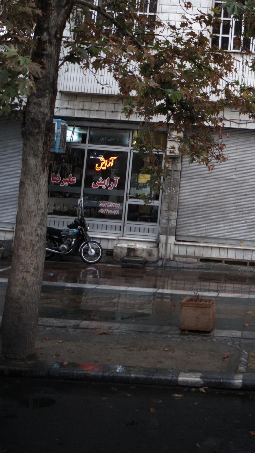 مستر کات
