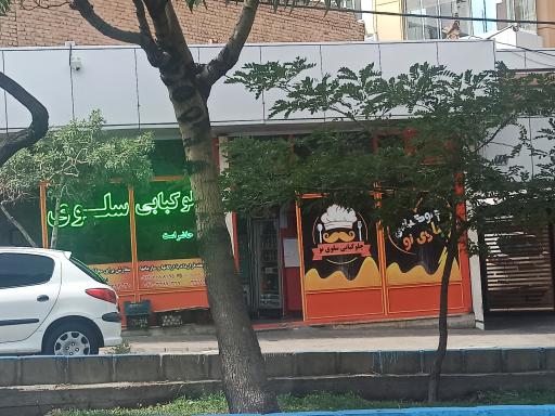 چلوکبابی سلوی