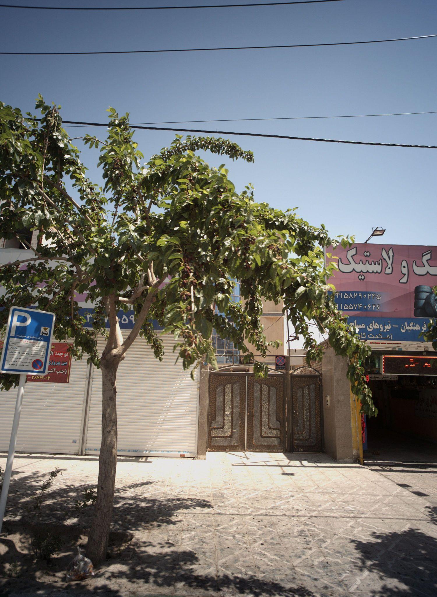 فروشگاه رینگ و لاستیک