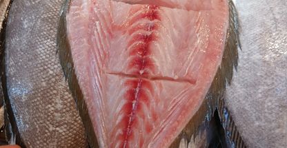 ماهی و میگوی جنامی